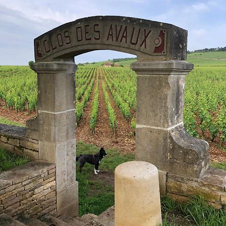 ボーヌLa Route Des Vinsアパートメント エクステリア 写真